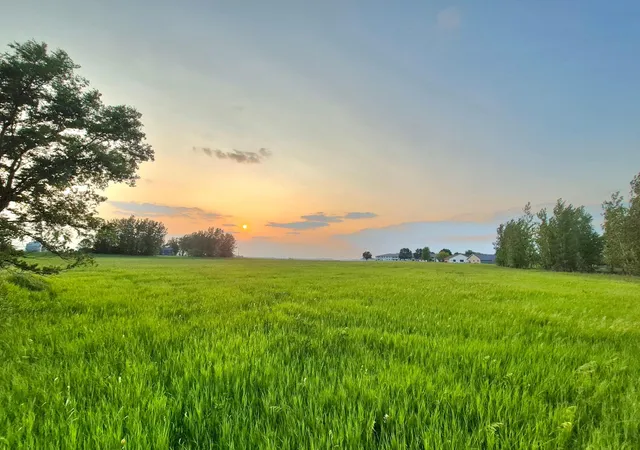 Photo 3 of Land for sale at Xxx Frenzel Dr, Arlington, MN 55307 | MLS# 7092332 | Listing updated on 2026-08-21