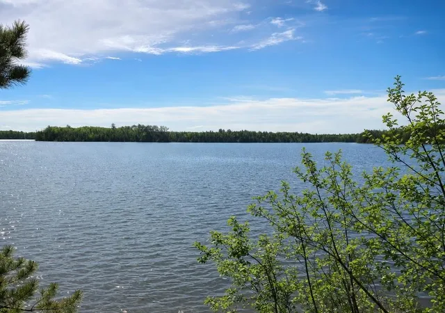 52nd image of 51946 N Wasson Lake Rd, Bigfork, MN 56628 | MLS# 7092372