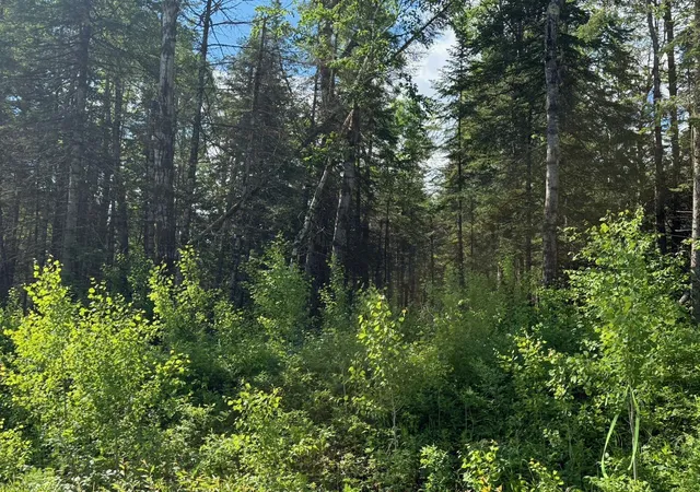 11th image of 1576 County Road 8, Holyoke, MN 55749 | MLS# 7092378