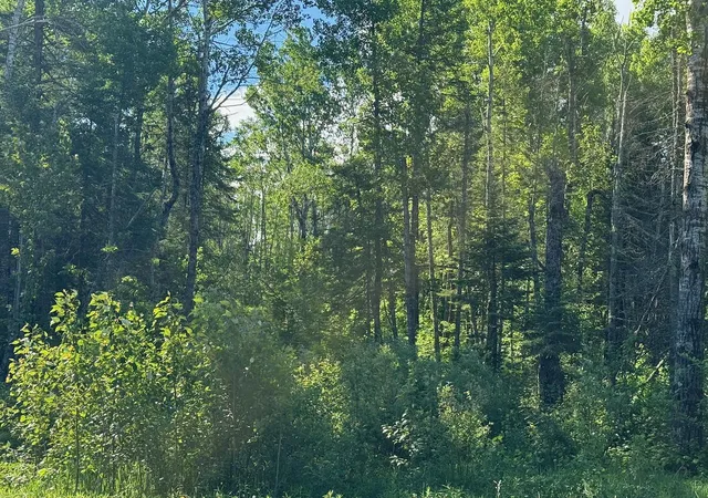 1st image of 1576 County Road 8, Holyoke, MN 55749 | MLS# 7092378