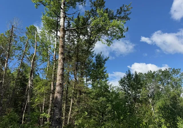 2nd image of 1576 County Road 8, Holyoke, MN 55749 | MLS# 7092378