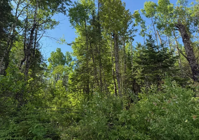 3rd image of 1576 County Road 8, Holyoke, MN 55749 | MLS# 7092378