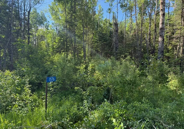 4th image of 1576 County Road 8, Holyoke, MN 55749 | MLS# 7092378
