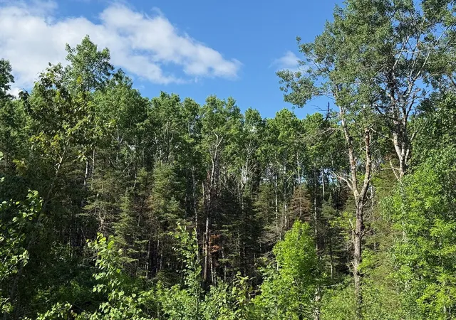 5th image of 1576 County Road 8, Holyoke, MN 55749 | MLS# 7092378
