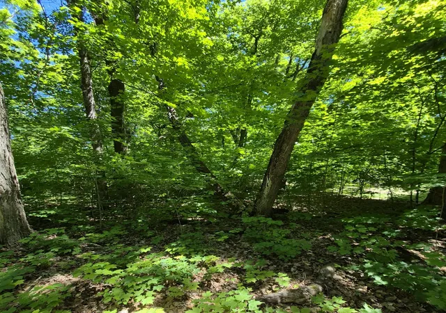 Homes for sale in Mc Gregor, MN | Tbd Lot 309 197th Ave, Mc Gregor, MN 55760 | MLS# 7092473