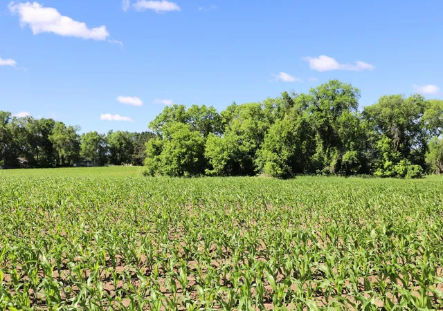 15th image of 5320 County Road 6, Saint Cloud, MN 56301 | MLS# 7092752