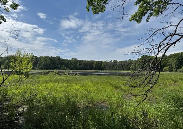 41st image of 6284 61st St S, Cottage Grove, MN 55016 | MLS# 7092778