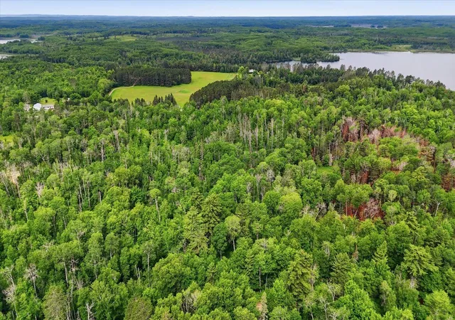 Photo 4 of Land for sale at Tbd, Balsam Twp, MN 55709 | MLS# 7092789 | Listing updated on 2026-09-07