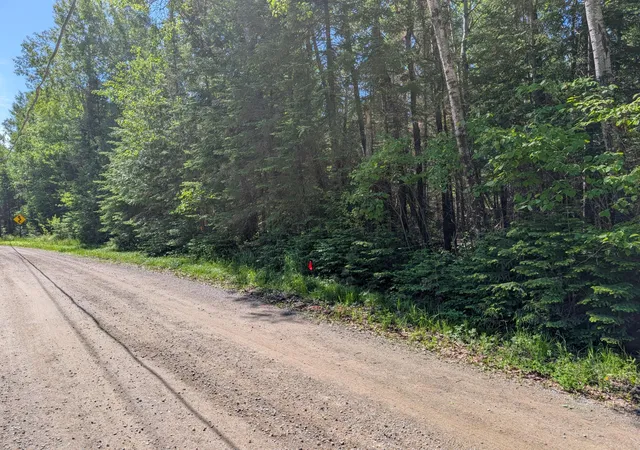 Photo 3 of Land for sale at Tbd Town Rd 492, International Falls, MN 56649 | MLS# 7092973 | Listing updated on 2026-06-24