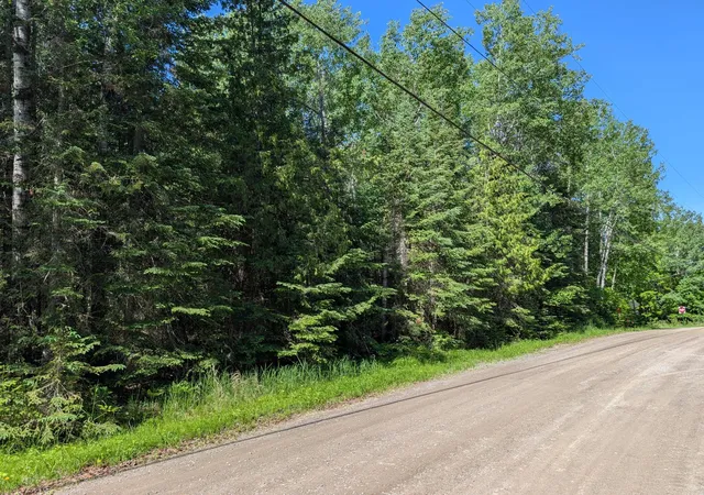 Photo 3 of Land for sale at Tbd Town Rd 492, International Falls, MN 56649 | MLS# 7092973 | Listing updated on 2026-06-24