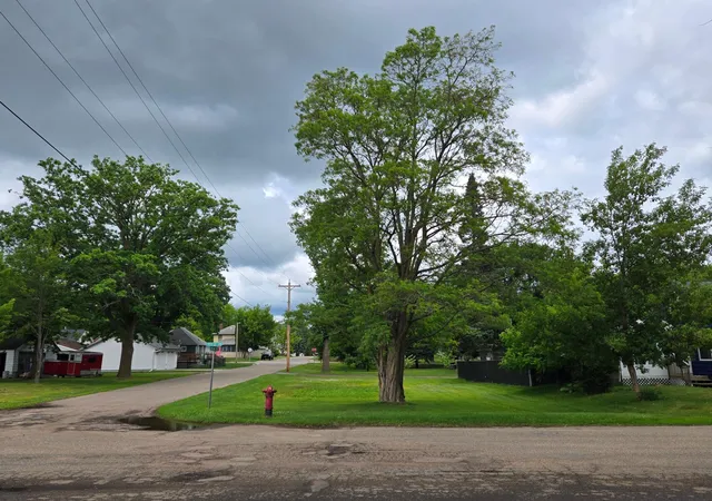 Homes for sale in Crosby, MN | Tbd 6th Ave Sw, Crosby, MN 56441 | MLS# 7092984
