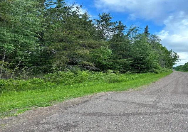 1st image of Xxx Town Line Rd, Brimson, MN 55602 | MLS# 7093057