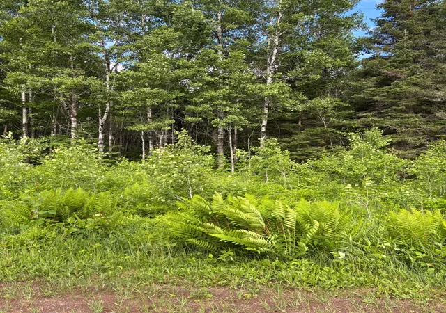 2nd image of Xxx Town Line Rd, Brimson, MN 55602 | MLS# 7093057