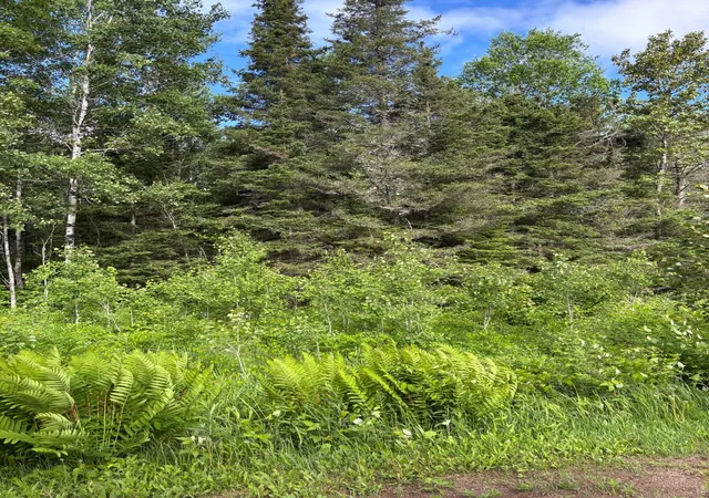 3rd image of Xxx Town Line Rd, Brimson, MN 55602 | MLS# 7093057