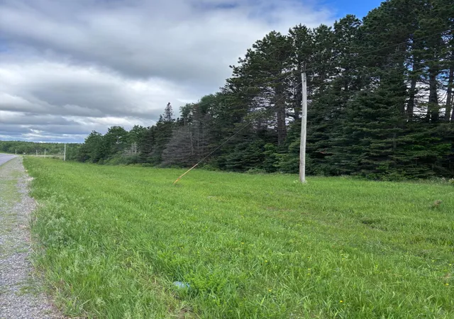5th image of Xxx Town Line Rd, Brimson, MN 55602 | MLS# 7093057