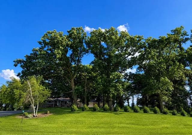 Homes for sale in Blooming Prairie, MN | 5121 Hwy 30 E, Blooming Prairie, MN 55917 | MLS# 7093392