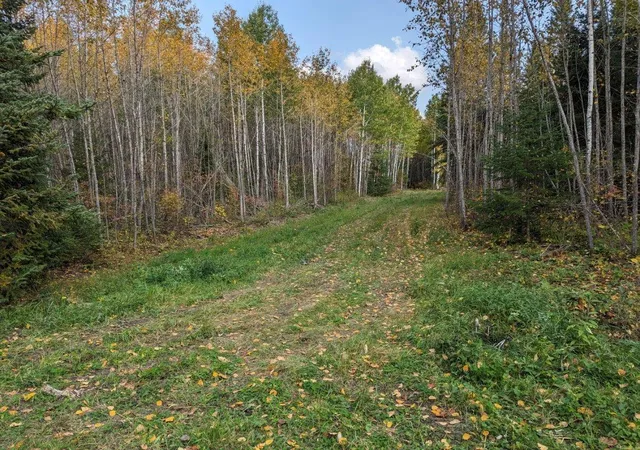 Homes for sale in Littlefork, MN | Tbd Deer River Line Rd, Littlefork, MN 56653 | MLS# 7093420