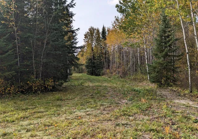 Homes for sale in Littlefork, MN | Tbd Deer River Line Rd, Littlefork, MN 56653 | MLS# 7093420