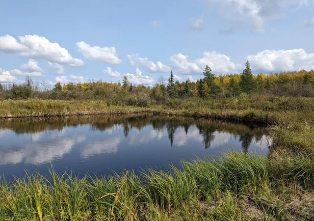 Homes for sale in Littlefork, MN | Tbd Deer River Line Rd, Littlefork, MN 56653 | MLS# 7093420