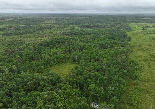 2nd image of Tbd 350th Ave, Lancaster, MN 56735 | MLS# 7093421