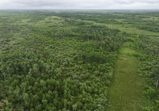 4th image of Tbd 350Th Ave, Lancaster, MN 56735 | MLS# 7093421