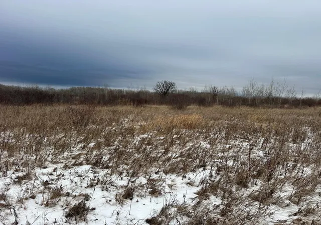 31st image of Tbd 350th Ave Sw, Lancaster, MN 56735 | MLS# 7093443