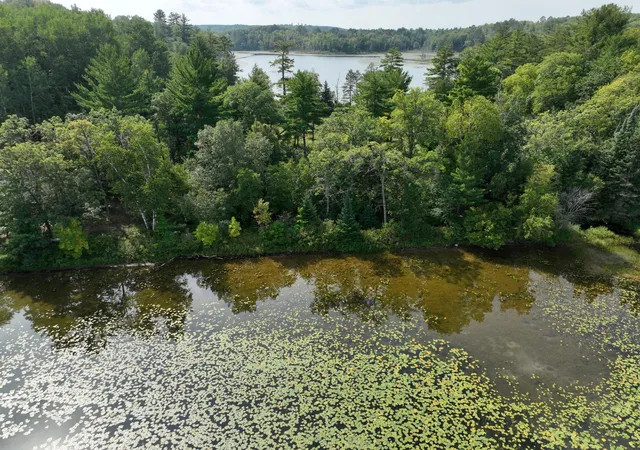 10th image of Tbd Camp Fish Rd Nw, Akeley, MN 56433 | MLS# 7093465