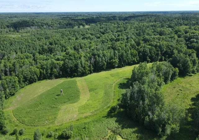1st image of 37102 Grandy Pines Rd Ne, Stanchfield, MN 55080 | MLS# 7093481
