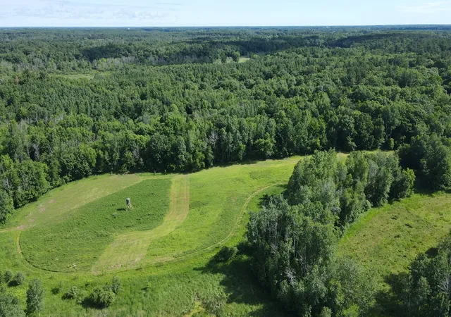 36th image of 37102 Grandy Pines Rd Ne, Stanchfield, MN 55080 | MLS# 7093481