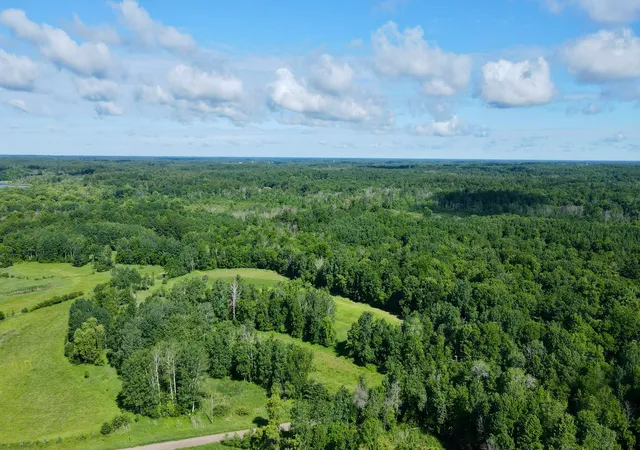 4th image of 37102 Grandy Pines Rd Ne, Stanchfield, MN 55080 | MLS# 7093481