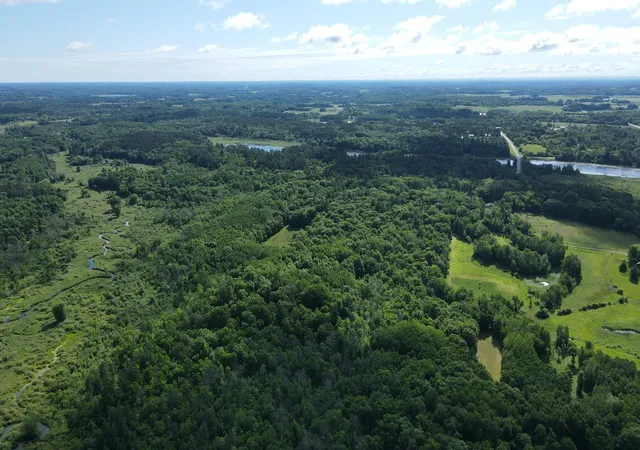 5th image of 37102 Grandy Pines Rd Ne, Stanchfield, MN 55080 | MLS# 7093481