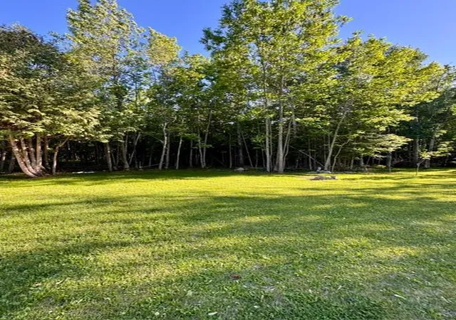 Homes for sale in International Falls, MN | 305 Shorewood Dr, International Falls, MN 56649 | MLS# 7093502
