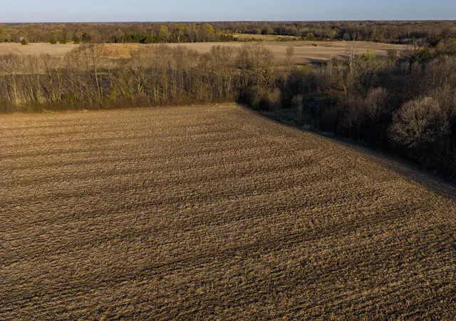 Homes for sale in Center City, MN | Tbd Lot 1 Park Trl, Center City, MN 55012 | MLS# 7093803