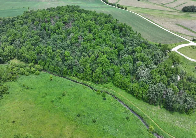 1st image of Tbd Cardinal Lane, Mabel, MN 55954 | MLS# 7093958