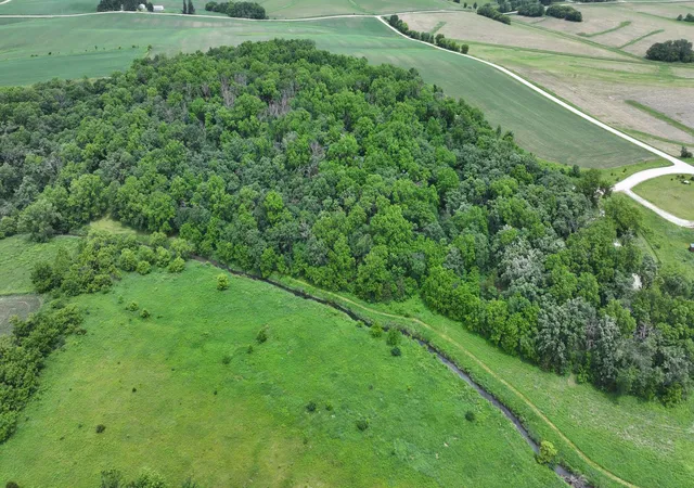 20th image of Tbd Cardinal Lane, Mabel, MN 55954 | MLS# 7093958