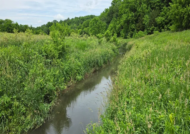 2nd image of Tbd Cardinal Lane, Mabel, MN 55954 | MLS# 7093958