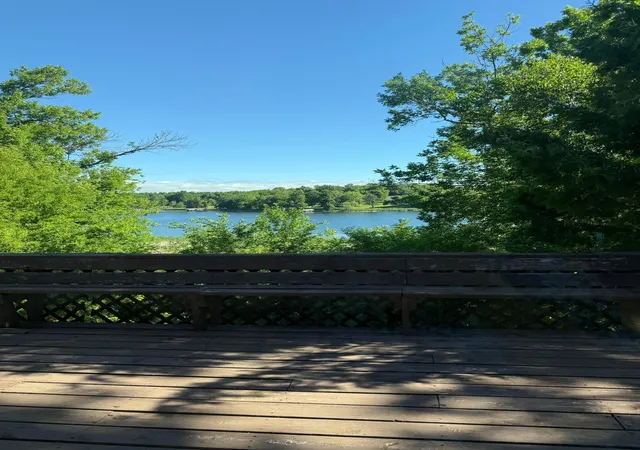 Homes for sale in Detroit Lakes, MN | 26324 Paradise Point Rd, Detroit Lakes, MN 56501 | MLS# 7094049