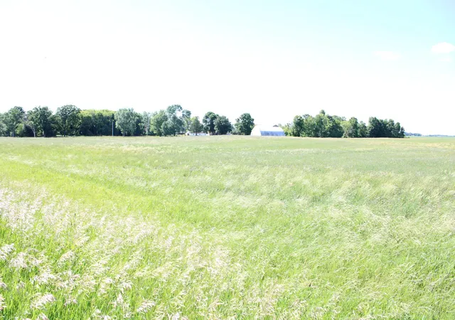 Photo 2 of Land for sale at Tbd 225th Street, Silver Lake, MN 55381 | MLS# 7094388 | Listing updated on 2026-08-02