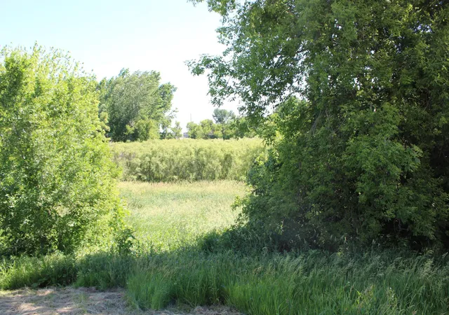 Photo 3 of Land for sale at Tbd 225th Street, Silver Lake, MN 55381 | MLS# 7094388 | Listing updated on 2026-08-02