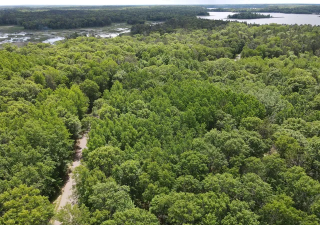 Homes for sale in Danbury, WI | Lot 14 Loon Lake Rd, Danbury, WI 54830 | MLS# 7094467