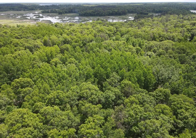 Homes for sale in Danbury, WI | Lot 14 Loon Lake Rd, Danbury, WI 54830 | MLS# 7094467