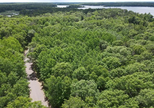 Homes for sale in Danbury, WI | Lot 14 Loon Lake Rd, Danbury, WI 54830 | MLS# 7094467