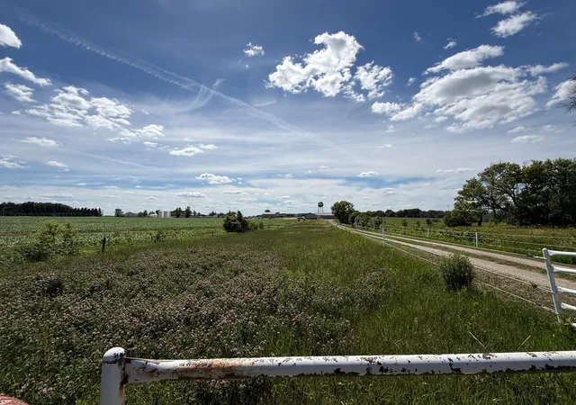 20th image of 73798 200th Ave, Hayfield, MN 55940 | MLS# 7094521