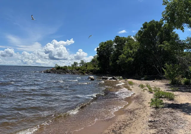 Homes for sale in Northwest Angle Unorg. Terr., MN | 06 3642 000 Little Oak, Northwest Angle Unorg. Terr., MN 56711 | MLS# 7094608