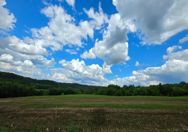Photo 4 of Land for sale at Tbd (l2b1) 410 Ave, Mazeppa, MN 55956 | MLS# 7094626 | Listing updated on 2026-08-18