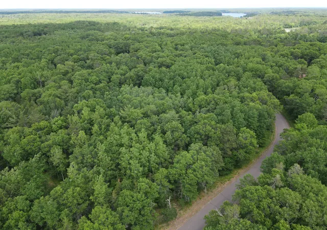 Homes for sale in Danbury, WI | Lot 15 Loon Lake Rd, Danbury, WI 54830 | MLS# 7094653