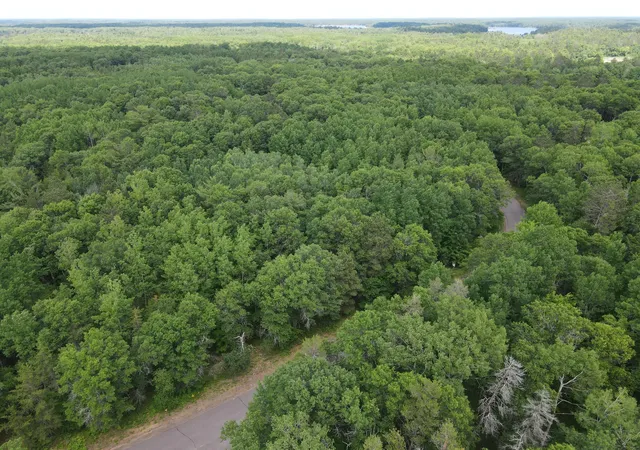 Homes for sale in Danbury, WI | Lot 15 Loon Lake Rd, Danbury, WI 54830 | MLS# 7094653