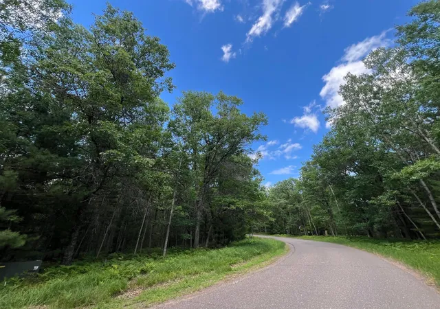 Homes for sale in Danbury, WI | Lot 15 Loon Lake Rd, Danbury, WI 54830 | MLS# 7094653