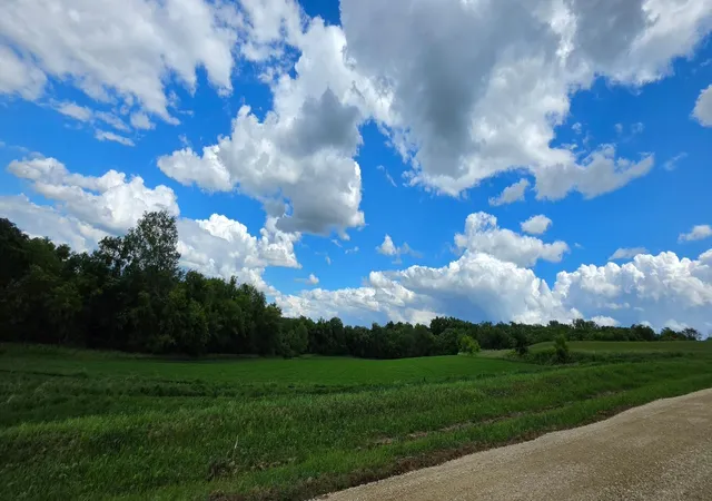 Photo 3 of Land for sale at Tbd (l10b1) 408 Ave, Mazeppa, MN 55956 | MLS# 7094686 | Listing updated on 2026-08-18