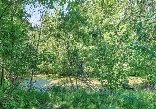 50th image of 22617 Washington Ct Ne, Cedar, MN 55011 | MLS# 7094847